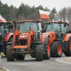 zdjęcie nr 115