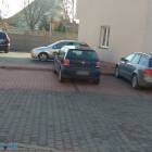 zdjęcie nr 8