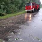 zdjęcie nr 13