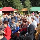 zdjęcie nr 53