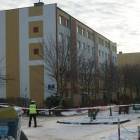zdjęcie nr 11