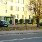 Fotka nr 5 z 16