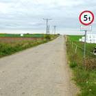 zdjęcie nr 30
