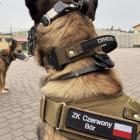 Fotka nr 1 z 4