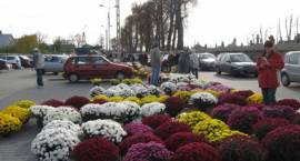 Wybór chryzantem i zniczy przy zambrowskich cmentarzach jest ogromny, 30.10.2008 r.,...