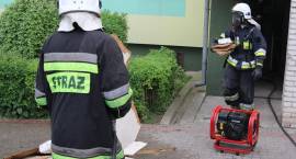 zdjęcie nr 10