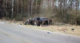 zdjęcie nr 14