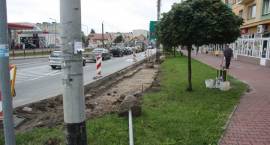zdjęcie nr 30