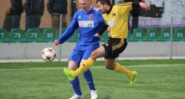 zdjęcie nr 15