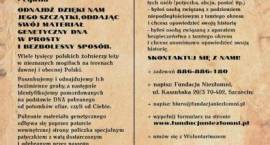 Fotka nr 2 z 3