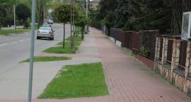 Na zambrowskich ulicach brakuje koszy na śmieci?