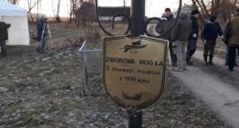 Fotka nr 2 z 18