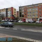 Fotka nr 5 z 8