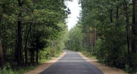 zdjęcie nr 7