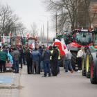 zdjęcie nr 103