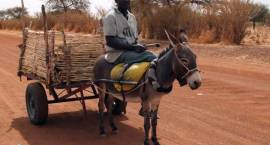 Wyprawa Wagadugu 2012. Ernest w Burkina Faso