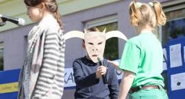 zdjęcie nr 24