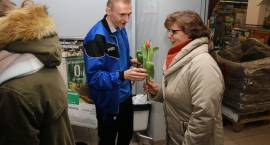 zdjęcie nr 16
