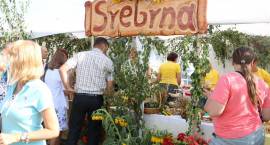 zdjęcie nr 132