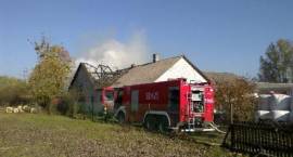 zdjęcie nr 10