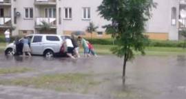 zdjęcie nr 9