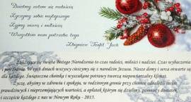 zdjęcie nr 12