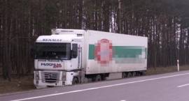 TIR w rowie /Fot. Marek Rytelewski, SOS Assistance