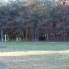 zdjęcie nr 40