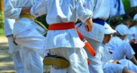 Wakacje na sportowo z Mazowiecko-Podlaskim Klubem Karate