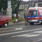 Fotka nr 3 z 6