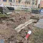 zdjęcie nr 10