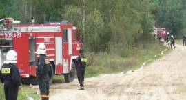 zdjęcie nr 7