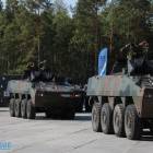 Fotka nr 5 z 15