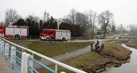 Fotka nr 3 z 21