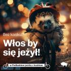 Fotka nr 3 z 17