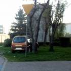 zdjęcie nr 8