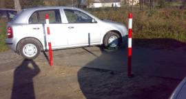 zdjęcie nr 11
