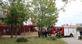 zdjęcie nr 46
