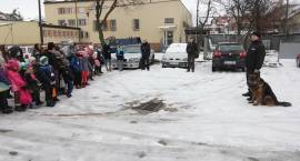 zdjęcie nr 15