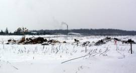 zdjęcie nr 15