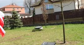 zdjęcie nr 55