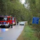Fotka nr 4 z 84