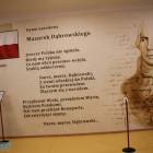 zdjęcie nr 206