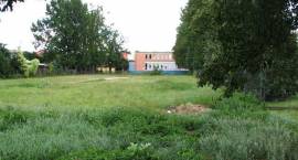 zdjęcie nr 11