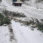 fot. OSP Stary Laskowiec