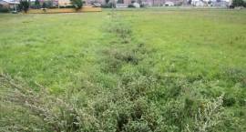 Problem z kanalizacją deszczową oraz sanitarną na ul. Ogrodowej i Lipowej