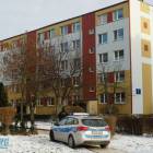 Fotka nr 5 z 14