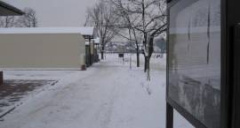 zdjęcie nr 7