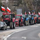 zdjęcie nr 30