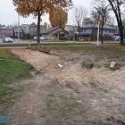 zdjęcie nr 19
